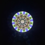 ParaCone - Limited Edition