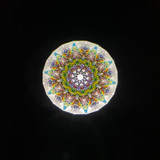 ParaCone - Limited Edition