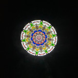 ParaCone - Limited Edition