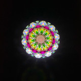 ParaCone - Limited Edition