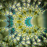 Bright Silver - Green, Yellow, Black