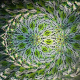 Moved the light source, not the object cylinder