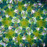 3-mirror, 5-point system