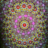 Side-Lit Handheld - (Dark Wood)