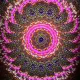 Side-Lit Handheld - (Light Wood)