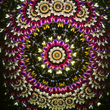 Side-Lit Handheld - (Medium Wood)