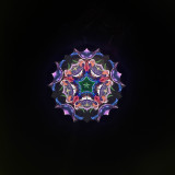 Hummingbird's Paradise