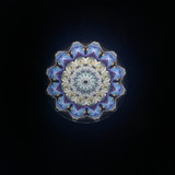 Spellbound - 1998 (Blueberry)