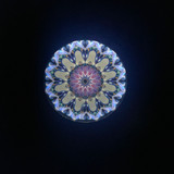 Spellbound - 1998 (Blueberry)