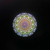 Spellbound - (Violet)