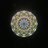 Spellbound - (Violet)