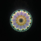 Spellbound - (Violet)