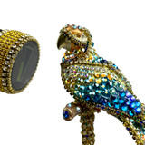Detail: CHEEKY parrot