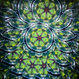 Chromatic Bloom
