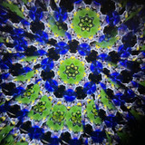 Chromatic Bloom