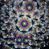Chromatic Bloom