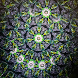 Chromatic Bloom