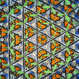 Wheel Scope (21)