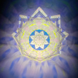 Neon Lotus (W)