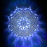Shot using a UV Black Light