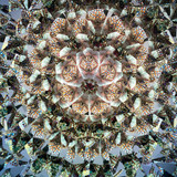 Scope ONE: Different light source, same view