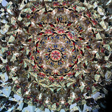 Scope ONE