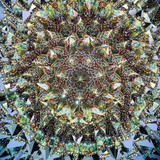 Scope ONE