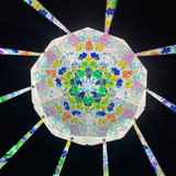 Archidichroic