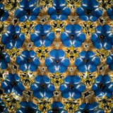 Large Teleidoscope