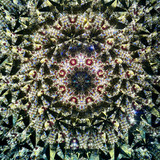 Romanov