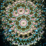 A Carousel (D1)