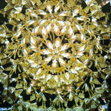 A Carousel (B1)
