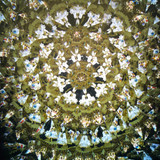 A Carousel (B1)