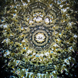 A Carousel (B1)