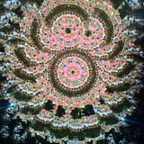 A Carousel (B1)