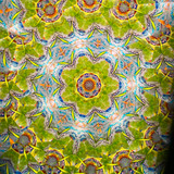 In Bloom #1