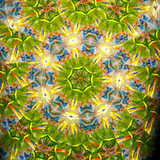 In Bloom #1