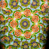 In Bloom #1