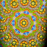 In Bloom #1