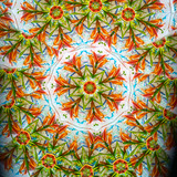 In Bloom #1