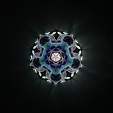Cosmic Bloom