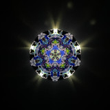 Cosmic Bloom