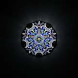 Cosmic Bloom