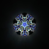 Cosmic Bloom