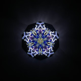 Cosmic Bloom
