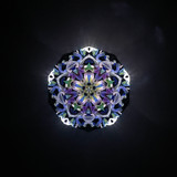 Cosmic Bloom