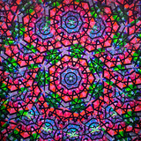 Purple/Lime 7-POINTS