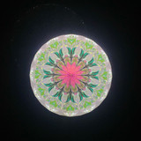 Cell in same place, only light was adjusted to change the image!