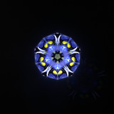 Forget Me Not