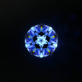 Forget Me Not